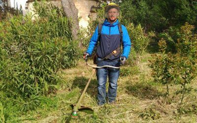 Noticias desde Maich (Chania, Creta) de los alumnos de ECA