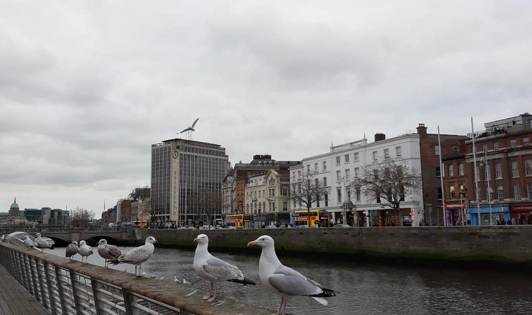 Última movilidad a Irlanda del proyecto KA101