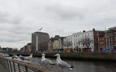 Última movilidad a Irlanda del proyecto KA101