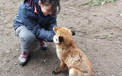 Lydia nos cuenta su experiencia en Escocia como becaria Erasmus+ KA103