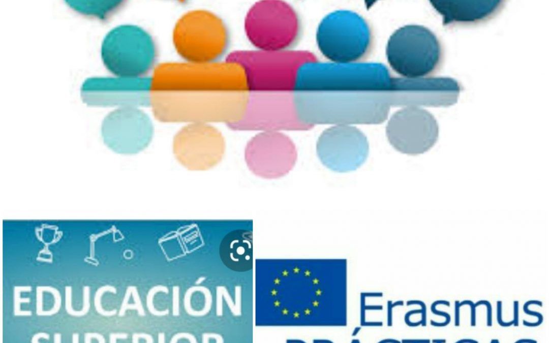 Penúltima reunión de seguimiento del alumnado en prácticas Erasmus+ KA103