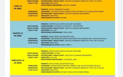 Nuestra primera movilidad virtual a cargo de Conviviendo con-vivencia