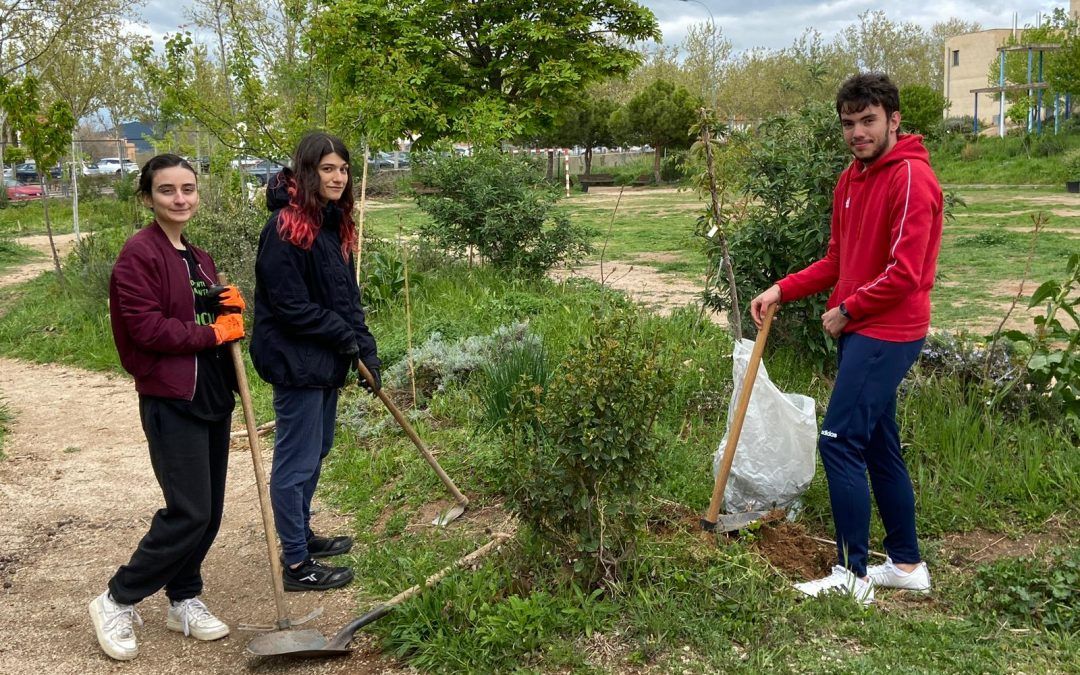 RENATURALIZANDO EL PATIO CON LA ACREDITACIÓN ERASMUS+