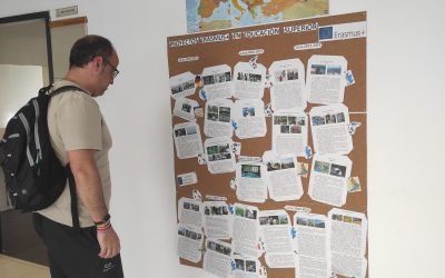 Compendio de todas nuestras movilidades de Educación Superior desde 2015-16