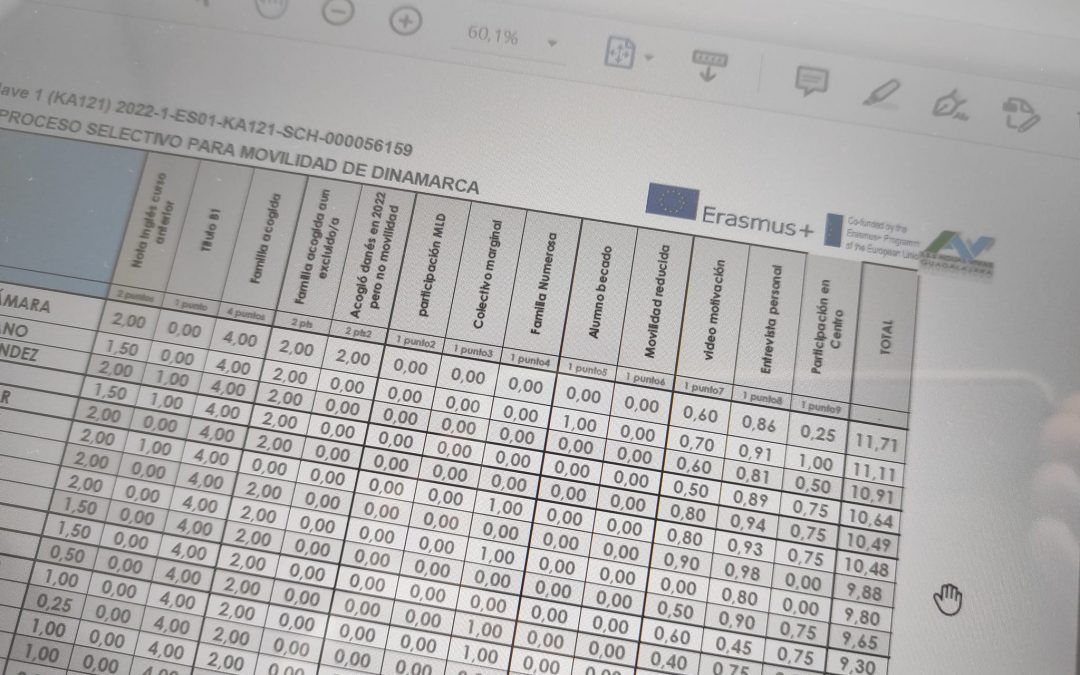 Entrevistas personales para acabar con el proceso selectivo de la movilidad en grupo de Dinamarca