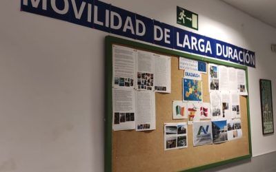 Acércate a ver qué cuentan mes a mes nuestras estudiantes MLD