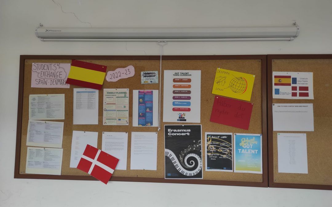 Procesos completos y nuestra «Coordination Billboard» para gestionar la movilidad acogida de estudiantes daneses