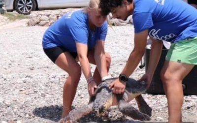 FCT por la sostenibilidad medioambiental: la experiencia de Pablo