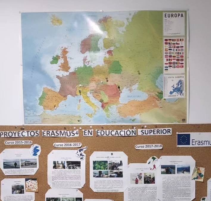 Visibilizando nuestras movilidades de Educación Superior desde 2015-16