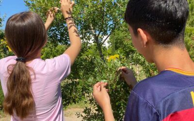 Un aula, un árbol: introduciendo el bosque en el aula. Naturaleza, cultura y sostenibilidad