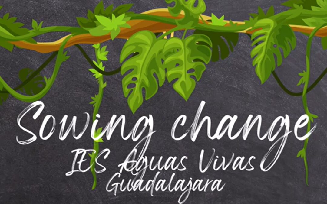 Nuestro patio, un bosque que educa: Erasmus+ y sostenibilidad en el IES Aguas Vivas