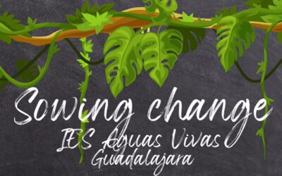 Nuestro patio, un bosque que educa: Erasmus+ y sostenibilidad en el IES Aguas Vivas