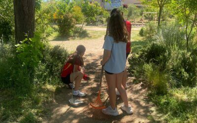 Taller de Mantenimiento y Cuidado del Bosque con la Acreditación